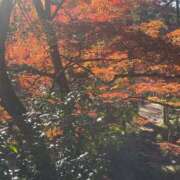 ヒメ日記 2025/03/08 07:00 投稿 田村美紀 五十路マダム 岐阜店