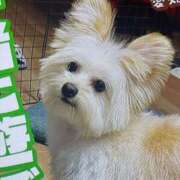 ヒメ日記 2025/03/10 20:02 投稿 田村美紀 五十路マダム 岐阜店