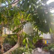 ヒメ日記 2025/03/11 05:30 投稿 田村美紀 五十路マダム 岐阜店