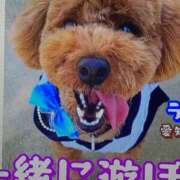 ヒメ日記 2025/03/13 05:30 投稿 田村美紀 五十路マダム 岐阜店