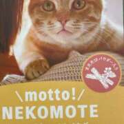 ヒメ日記 2025/03/14 05:30 投稿 田村美紀 五十路マダム 岐阜店