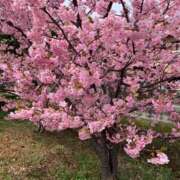 ヒメ日記 2025/03/14 20:02 投稿 田村美紀 五十路マダム 岐阜店