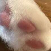 ヒメ日記 2025/03/15 05:30 投稿 田村美紀 五十路マダム 岐阜店