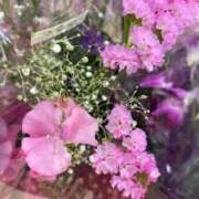 ヒメ日記 2025/03/15 21:04 投稿 田村美紀 五十路マダム 岐阜店