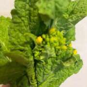 ヒメ日記 2025/03/18 05:30 投稿 田村美紀 五十路マダム 岐阜店