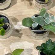 ヒメ日記 2025/03/18 20:02 投稿 田村美紀 五十路マダム 岐阜店