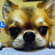 ヒメ日記 2025/03/19 20:02 投稿 田村美紀 五十路マダム 岐阜店