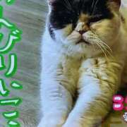 ヒメ日記 2025/03/20 07:02 投稿 田村美紀 五十路マダム 岐阜店