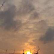 ヒメ日記 2025/03/28 20:02 投稿 田村美紀 五十路マダム 岐阜店