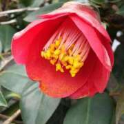 ヒメ日記 2025/04/10 05:30 投稿 田村美紀 五十路マダム 岐阜店