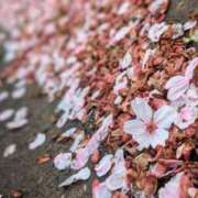 ヒメ日記 2025/04/12 20:32 投稿 田村美紀 五十路マダム 岐阜店