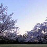 ヒメ日記 2025/04/16 05:30 投稿 田村美紀 五十路マダム 岐阜店