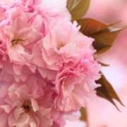 ヒメ日記 2025/04/21 20:02 投稿 田村美紀 五十路マダム 岐阜店