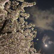 ヒメ日記 2025/04/25 20:02 投稿 田村美紀 五十路マダム 岐阜店