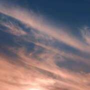 ヒメ日記 2025/04/26 05:32 投稿 田村美紀 五十路マダム 岐阜店