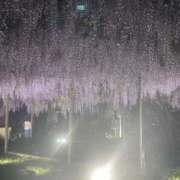 ヒメ日記 2025/04/27 23:30 投稿 田村美紀 五十路マダム 岐阜店