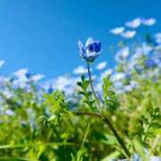 ヒメ日記 2025/05/02 05:30 投稿 田村美紀 五十路マダム 岐阜店