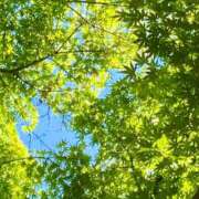 ヒメ日記 2025/05/03 08:30 投稿 田村美紀 五十路マダム 岐阜店