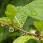 ヒメ日記 2025/05/10 07:16 投稿 田村美紀 五十路マダム 岐阜店