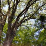 ヒメ日記 2025/05/13 05:30 投稿 田村美紀 五十路マダム 岐阜店