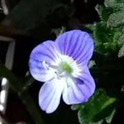 ヒメ日記 2025/05/14 20:02 投稿 田村美紀 五十路マダム 岐阜店