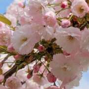 ヒメ日記 2025/05/17 05:46 投稿 田村美紀 五十路マダム 岐阜店