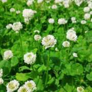 ヒメ日記 2025/05/20 20:02 投稿 田村美紀 五十路マダム 岐阜店