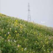 ヒメ日記 2025/05/21 05:30 投稿 田村美紀 五十路マダム 岐阜店