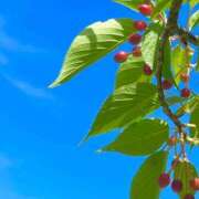 ヒメ日記 2025/06/01 09:04 投稿 田村美紀 五十路マダム 岐阜店