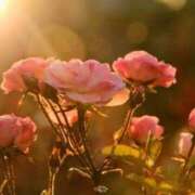 ヒメ日記 2025/06/07 05:30 投稿 田村美紀 五十路マダム 岐阜店