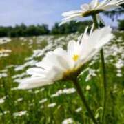 ヒメ日記 2025/06/16 18:02 投稿 田村美紀 五十路マダム 岐阜店