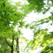 ヒメ日記 2025/06/17 05:30 投稿 田村美紀 五十路マダム 岐阜店