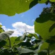 ヒメ日記 2025/06/19 05:30 投稿 田村美紀 五十路マダム 岐阜店