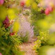 ヒメ日記 2025/06/19 18:18 投稿 田村美紀 五十路マダム 岐阜店