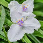 ヒメ日記 2025/06/23 20:32 投稿 田村美紀 五十路マダム 岐阜店