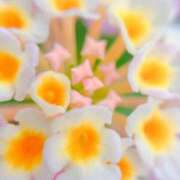 ヒメ日記 2025/06/27 05:30 投稿 田村美紀 五十路マダム 岐阜店