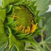 ヒメ日記 2025/07/03 05:30 投稿 田村美紀 五十路マダム 岐阜店