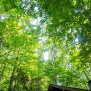 ヒメ日記 2025/07/04 07:02 投稿 田村美紀 五十路マダム 岐阜店