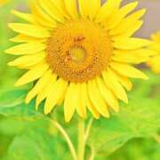 ヒメ日記 2025/07/07 05:30 投稿 田村美紀 五十路マダム 岐阜店