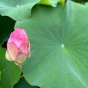 ヒメ日記 2025/07/07 19:04 投稿 田村美紀 五十路マダム 岐阜店