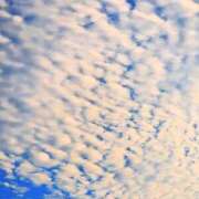 ヒメ日記 2025/07/09 09:12 投稿 田村美紀 五十路マダム 岐阜店