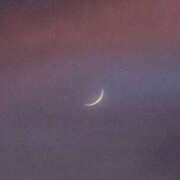 ヒメ日記 2025/07/11 19:46 投稿 田村美紀 五十路マダム 岐阜店