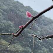 ヒメ日記 2025/07/11 20:02 投稿 田村美紀 五十路マダム 岐阜店