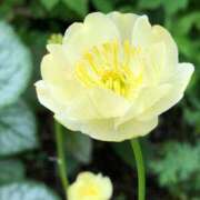 ヒメ日記 2025/07/14 20:02 投稿 田村美紀 五十路マダム 岐阜店