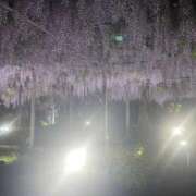 ヒメ日記 2025/07/20 23:22 投稿 田村美紀 五十路マダム 岐阜店