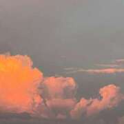 ヒメ日記 2025/07/22 20:02 投稿 田村美紀 五十路マダム 岐阜店