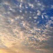 ヒメ日記 2025/07/31 20:04 投稿 田村美紀 五十路マダム 岐阜店