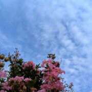 ヒメ日記 2025/08/08 05:30 投稿 田村美紀 五十路マダム 岐阜店