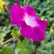 ヒメ日記 2025/08/17 10:28 投稿 田村美紀 五十路マダム 岐阜店