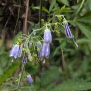 ヒメ日記 2025/08/23 22:40 投稿 田村美紀 五十路マダム 岐阜店